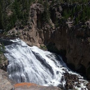 Meet your Posher, Pat